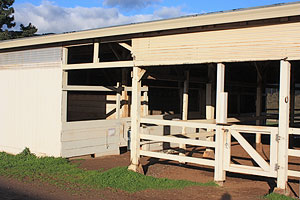 horse hotel stall